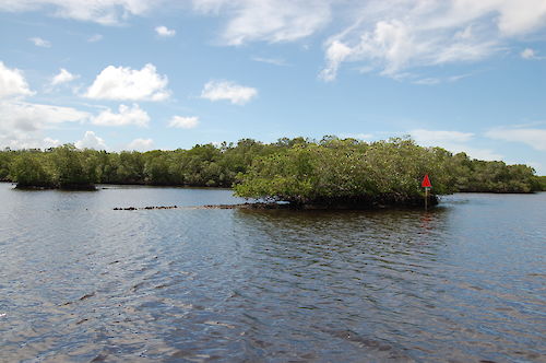 Rookery Bay in Southwest Coast. Photo by Alexandra Fries Rookery Bay in Southwest Coast. Photo by Alexandra Fries
